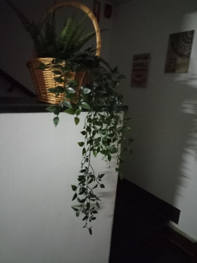 Hostel Vilarade Портиман Екстериор снимка